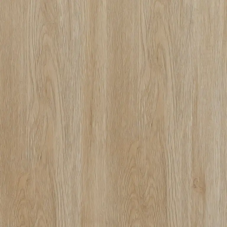 Ivory Oak YN801 colour sample, Rèn 5.0mm